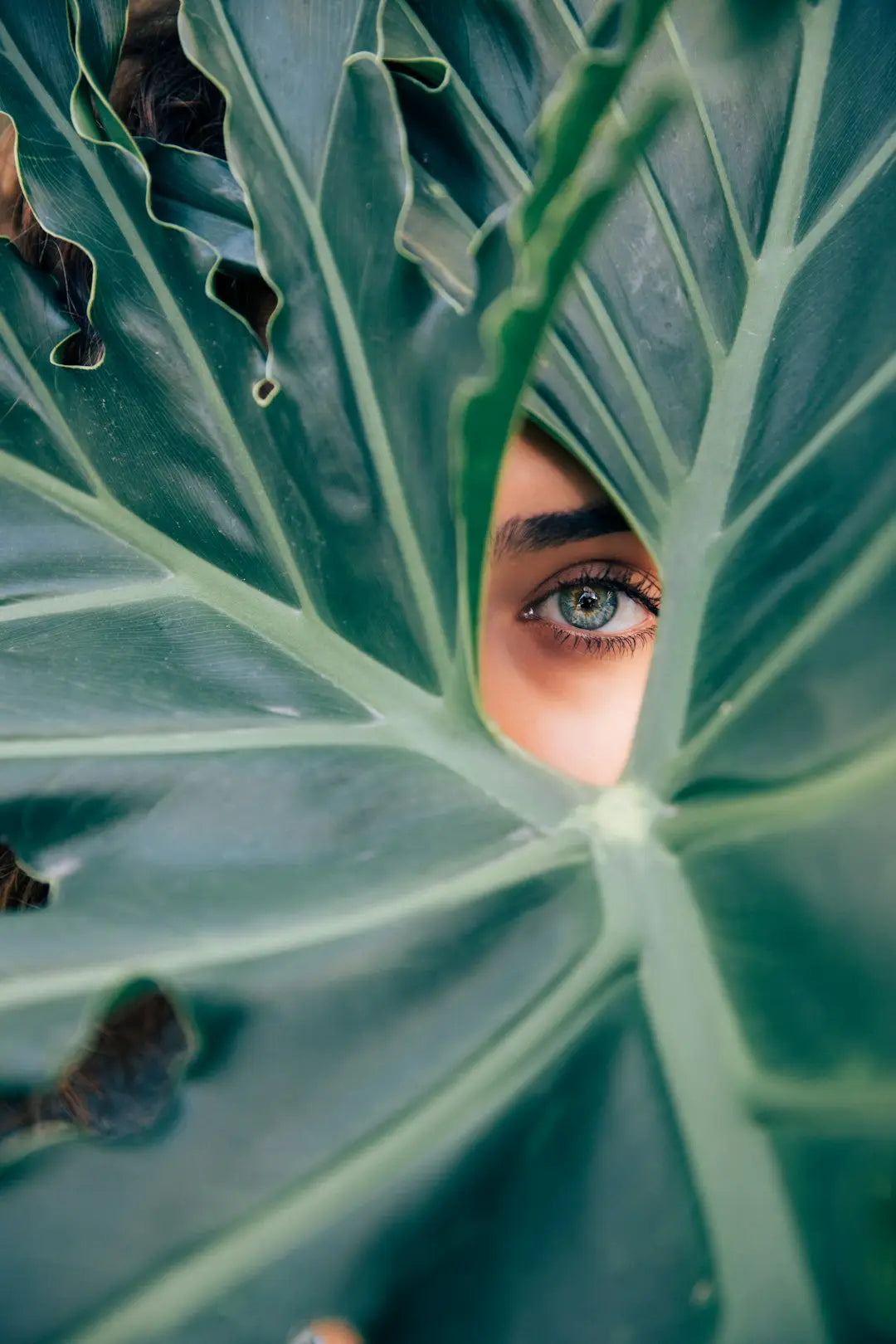 Sensitive Skin Care: Essential Tips & Product Recommendations for Radiant Skin