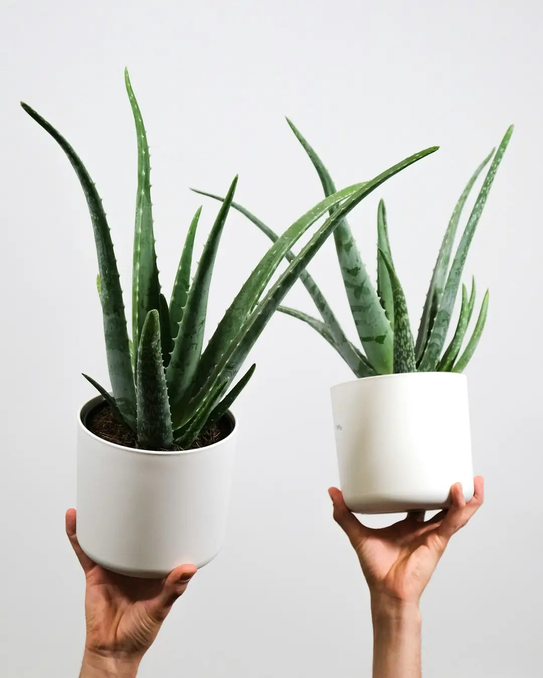 Skincare Ingredients to Avoid for Sensitive Skin
